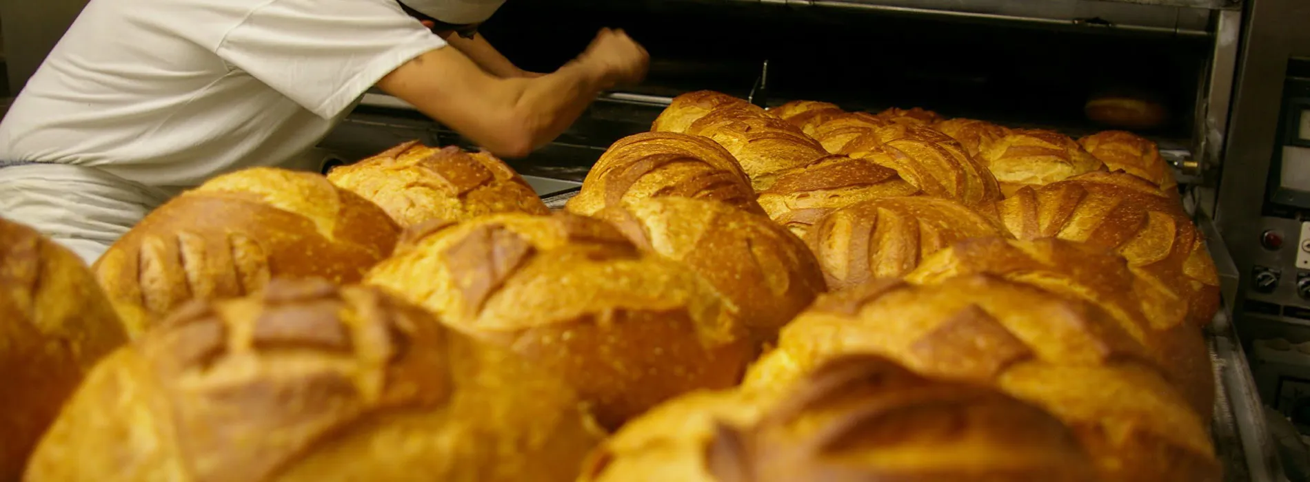  Bäcker bei der Arbeit in einer Backstube mit frisch gebackenem Brot – Symbolbild für maßgeschneiderte Gewerbeversicherungen in Leipzig.