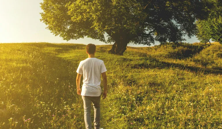 Junger Mann geht über eine Wiese auf einen großen Baum zu – Symbolbild für Altersvorsorge in Leipzig und einen sicheren Weg in die Zukunft