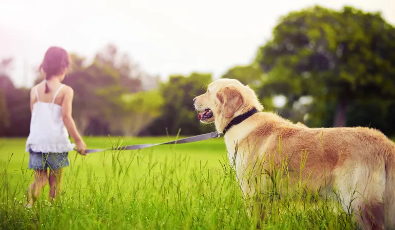 Ein Mädchen führt einen Hund an der Leine über eine grüne Wiese – Symbol für die Absicherung durch eine Tierkrankenversicherung 2025 in Leipzig.